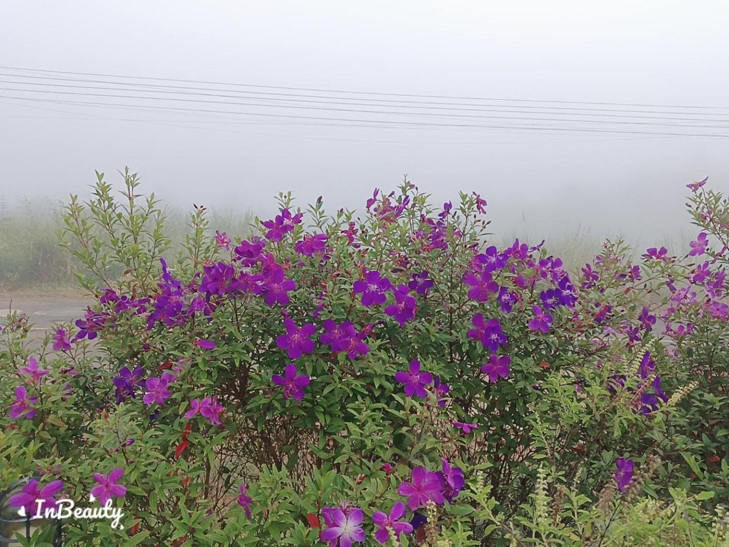 Villa เฟรนด์แคมป์ Khao Kho Esterno foto