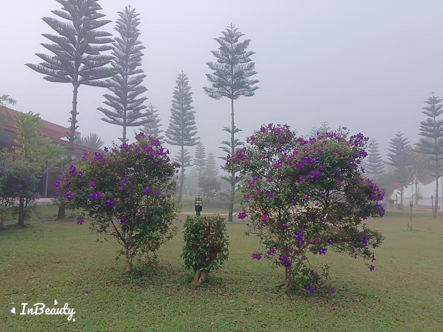 Villa เฟรนด์แคมป์ Khao Kho Esterno foto